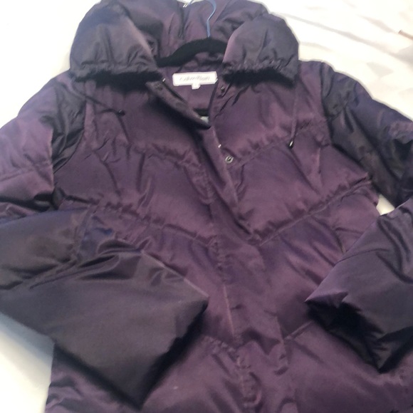 COPY - Calvin Klein jacket - eggplant - Picture 2 of 4